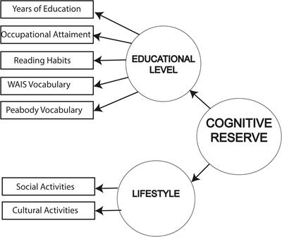 Effects of Cognitive Reserve on Cognitive Performance in a Follow-Up Study in Older Adults With Subjective Cognitive Complaints. The Role of Working Memory